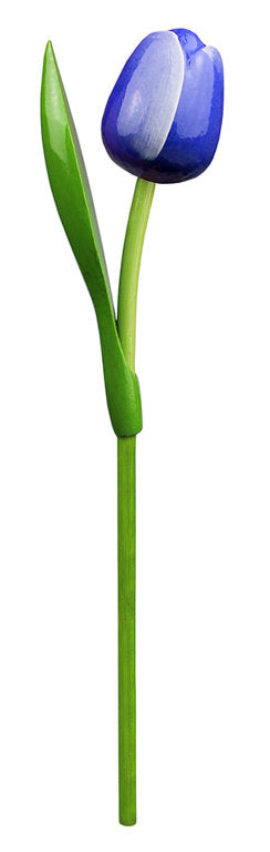 Kemfeldeko koka tulpe Blue / White, 34cm