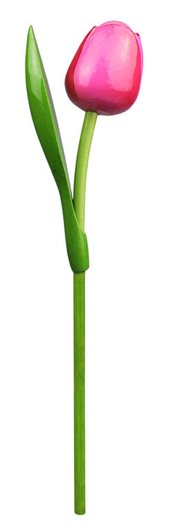 Kemfeldeko koka tulpe Pink/Red, 34cm