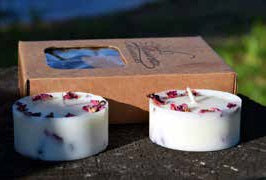 Laureta Candles rapšu vaska tējassveces ar augiem un litsea ēterisko eļļu, 2gb