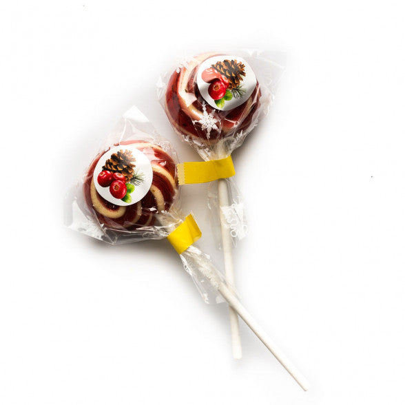 Mītavas čiekurs karameles ar priežu čiekuru sīrupa un dzērveņu garšu uz kociņa, 20g