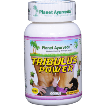 Planet Ayurveda uztura bagātinātājs Tribulus Power (tribulis), 60kaps.