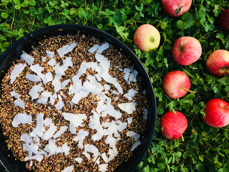 Viegli pagatavojama ĀBOLU un KVINOJAS kraukšķkūka!