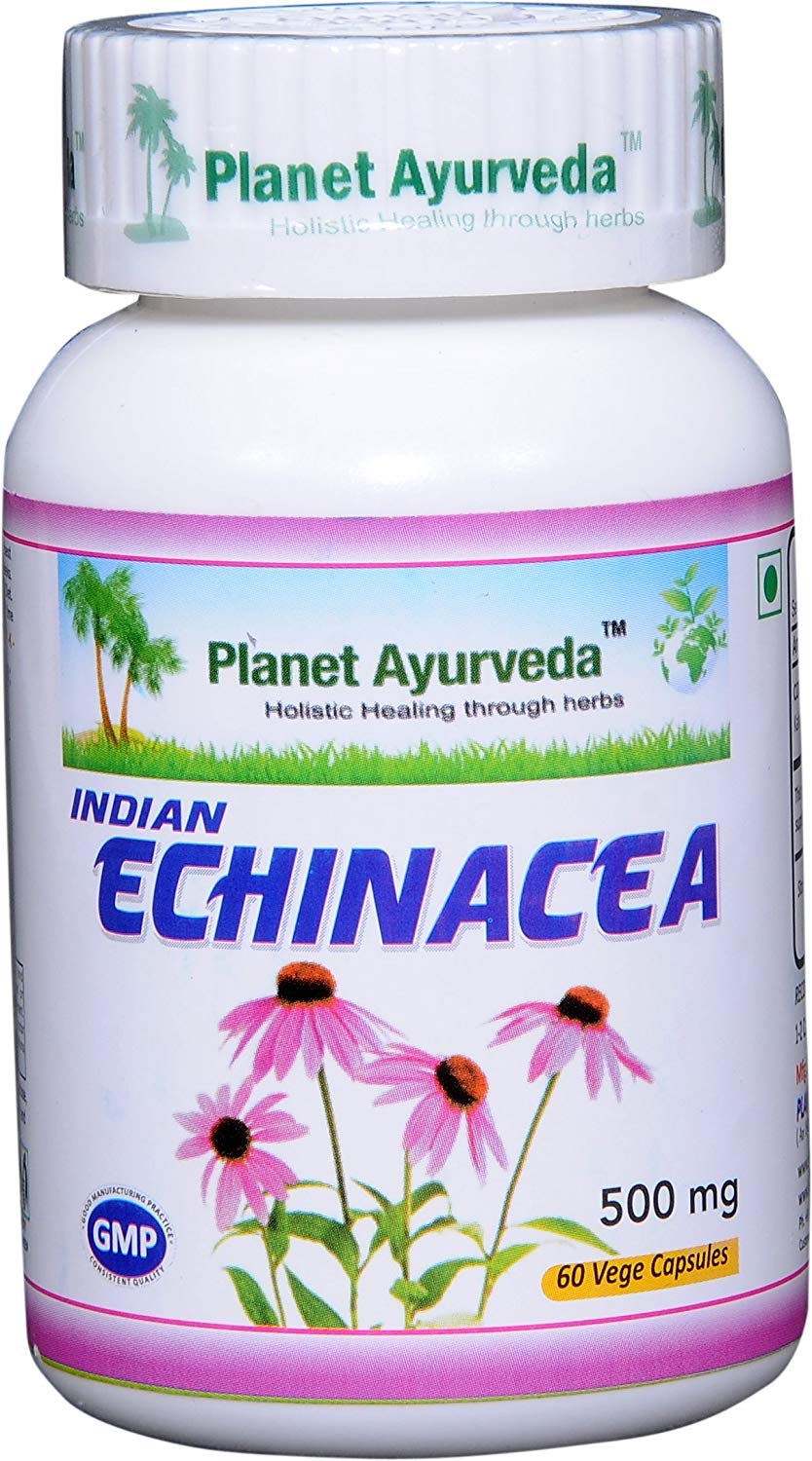 Planet Ayurveda uztura bagātinātājs Indian Echinacea (andrographis), 60kaps.