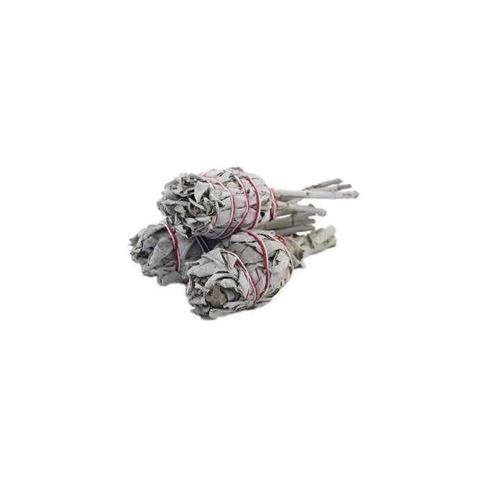 Green Tree kvēpeklis baltā salvija mini (White Sage), 10cm