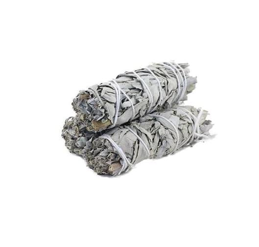 Green Tree kvēpeklis baltā salvija (White Sage), 10cm