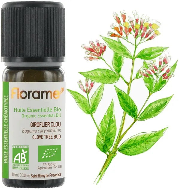 Florame organiska krustnagliņas ēteriskā eļļa, 10ml