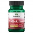 Swanson uztura bagātinātājs Nattokinase (natokināze) 100mg, 30 kaps.